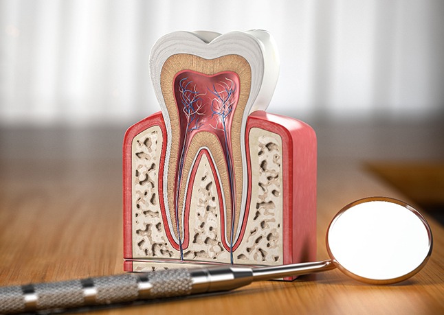 Dental tool lying next to model of tooth